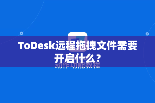ToDesk远程拖拽文件需要开启什么？