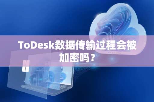 ToDesk数据传输过程会被加密吗？