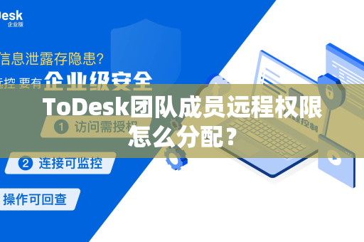 ToDesk团队成员远程权限怎么分配？