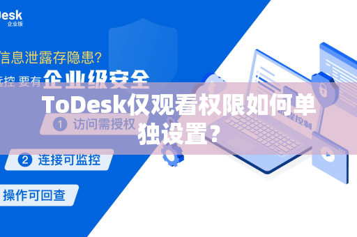 ToDesk仅观看权限如何单独设置？