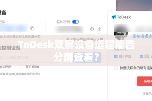 ToDesk双屏设备远程能否分屏查看？
