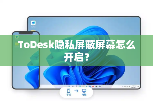 ToDesk隐私屏蔽屏幕怎么开启？