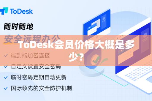 ToDesk会员价格大概是多少？