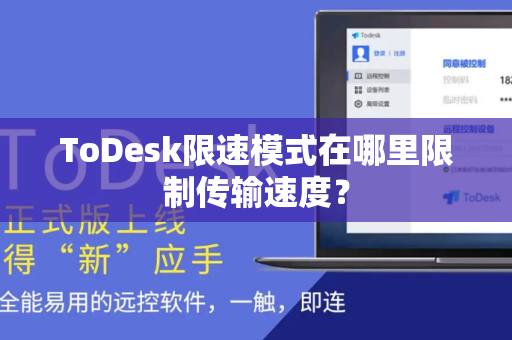 ToDesk限速模式在哪里限制传输速度？
