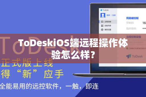 ToDeskiOS端远程操作体验怎么样？