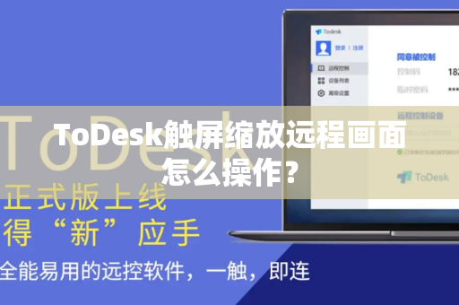 ToDesk触屏缩放远程画面怎么操作？